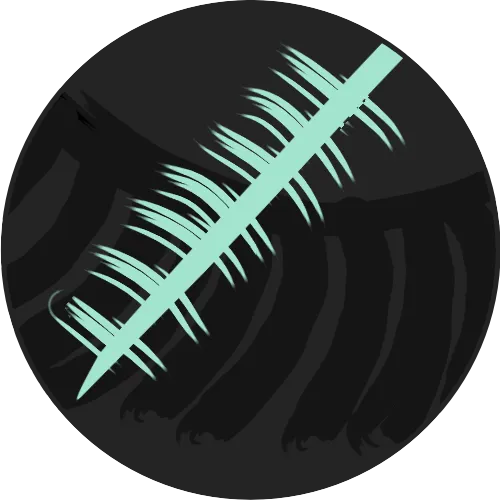 Bellissimo Lash Extensions - Icon - Customizable